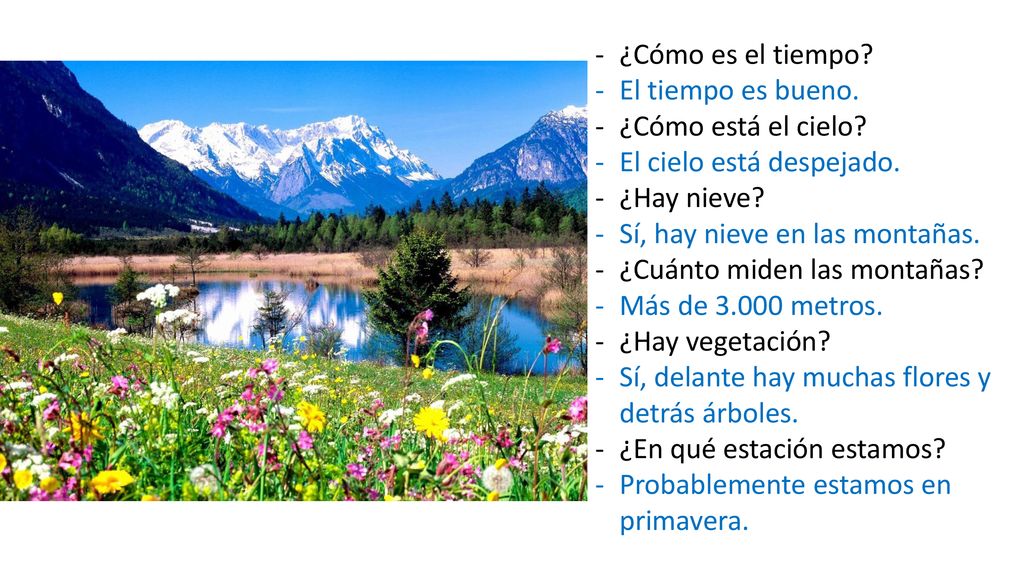 ¿Cómo es el tiempo El tiempo es bueno. ¿Cómo está el cielo El cielo está despejado. ¿Hay nieve