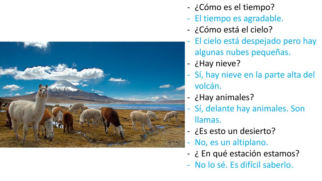 ¿Cómo es el tiempo El tiempo es agradable. ¿Cómo está el cielo El cielo está despejado pero hay algunas nubes pequeñas.