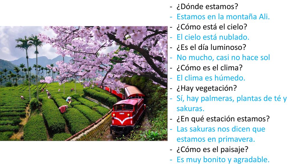 ¿Dónde estamos Estamos en la montaña Ali. ¿Cómo está el cielo El cielo está nublado. ¿Es el día luminoso
