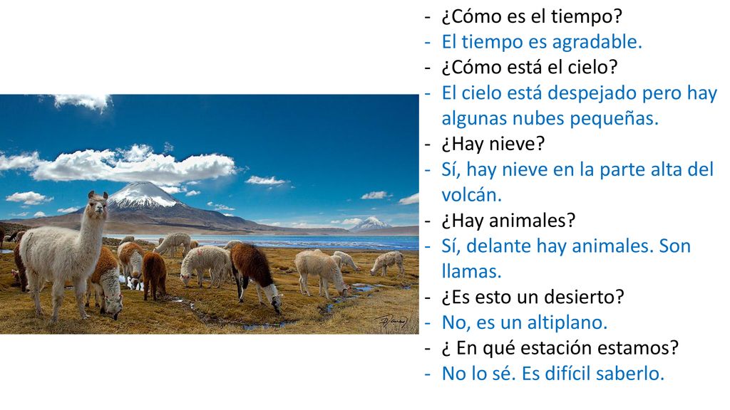 ¿Cómo es el tiempo El tiempo es agradable. ¿Cómo está el cielo El cielo está despejado pero hay algunas nubes pequeñas.