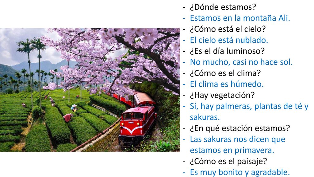 ¿Dónde estamos Estamos en la montaña Ali. ¿Cómo está el cielo El cielo está nublado. ¿Es el día luminoso