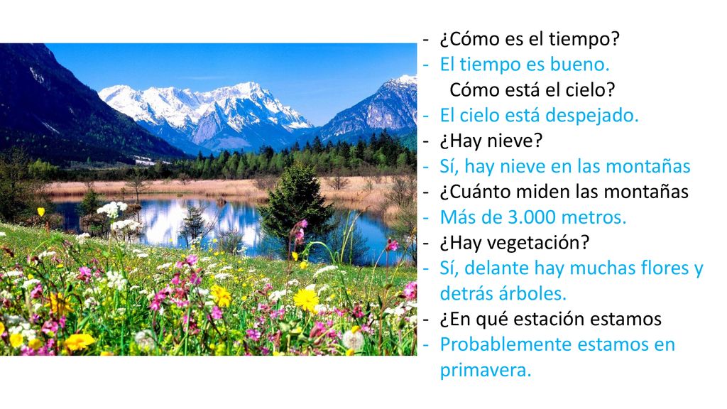 ¿Cómo es el tiempo El tiempo es bueno. ¿Cómo está el cielo El cielo está despejado. ¿Hay nieve