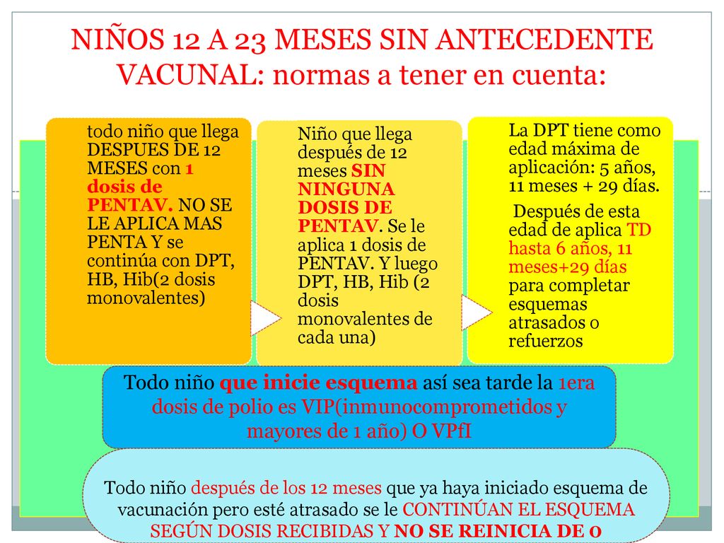 NIÑOS 12 A 23 MESES SIN ANTECEDENTE VACUNAL: normas a tener en cuenta: