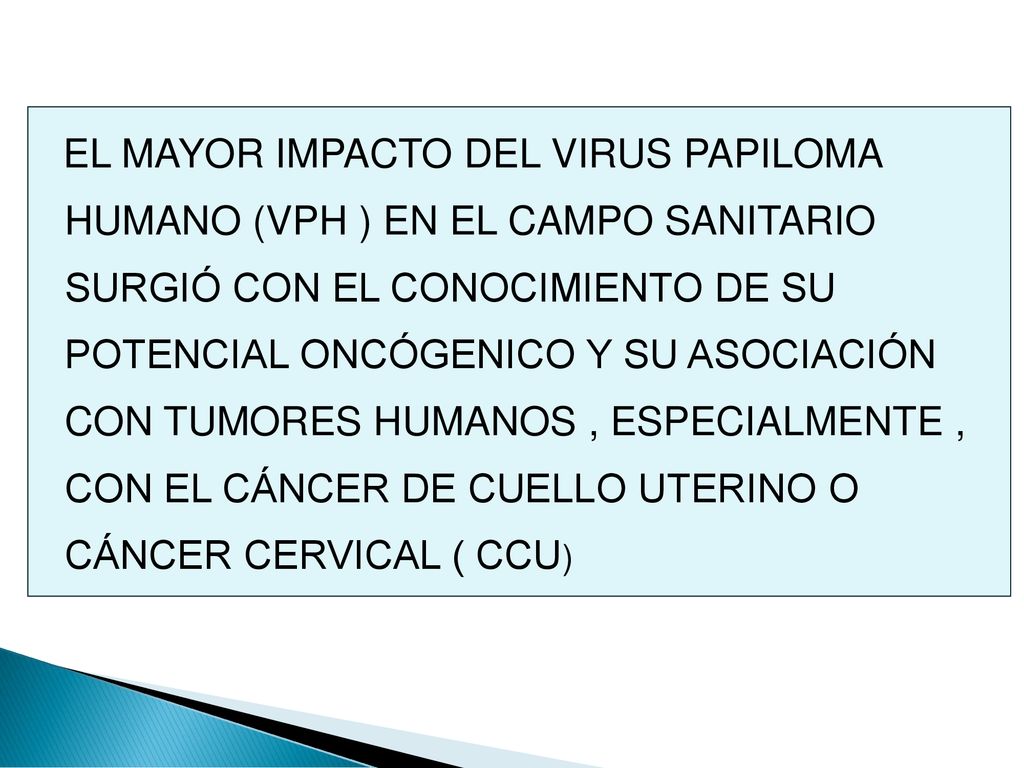 EL MAYOR IMPACTO DEL VIRUS PAPILOMA HUMANO (VPH ) EN EL CAMPO SANITARIO SURGIÓ CON EL CONOCIMIENTO DE SU POTENCIAL ONCÓGENICO Y SU ASOCIACIÓN CON TUMORES HUMANOS , ESPECIALMENTE , CON EL CÁNCER DE CUELLO UTERINO O CÁNCER CERVICAL ( CCU)
