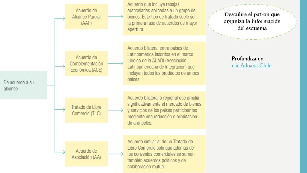 Descubre el patrón que organiza la información del esquema