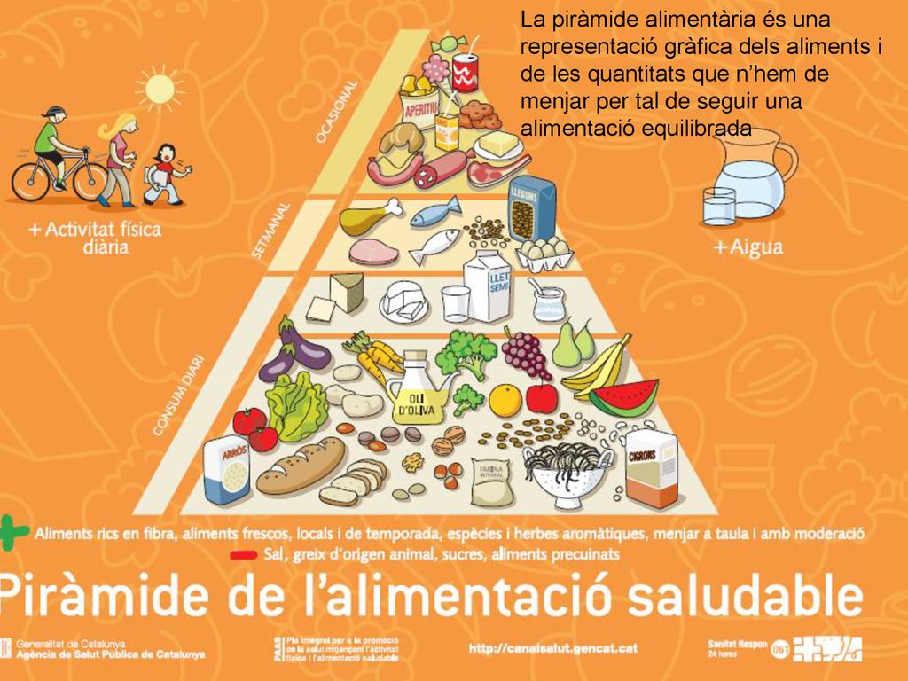 La piràmide alimentària és una representació gràfica dels aliments i de les quantitats que n’hem de menjar per tal de seguir una alimentació equilibrada