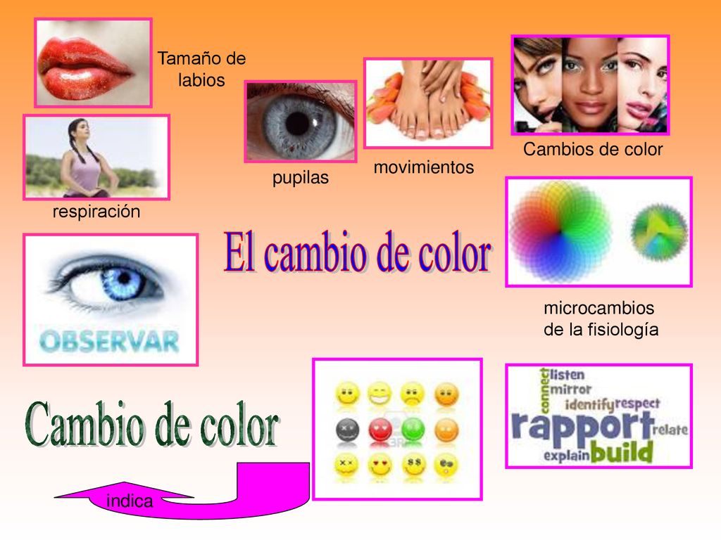 El cambio de color Cambio de color Tamaño de labios Cambios de color