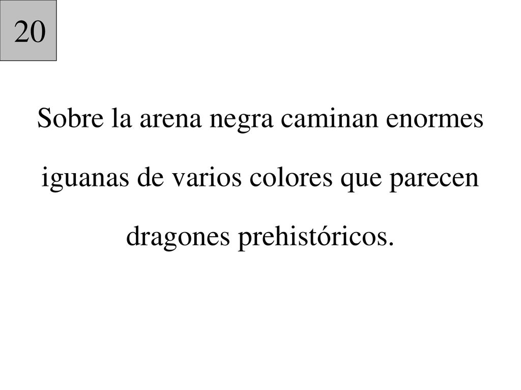 20 Sobre la arena negra caminan enormes iguanas de varios colores que parecen dragones prehistóricos.