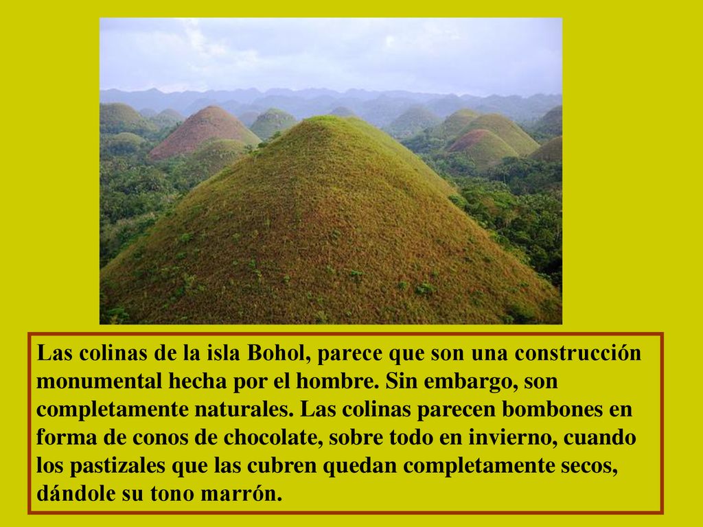 Las colinas de la isla Bohol, parece que son una construcción monumental hecha por el hombre.