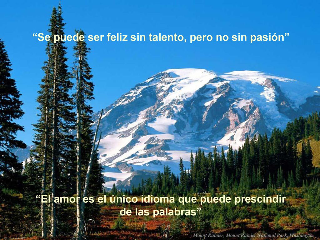El amor es el único idioma que puede prescindir de las palabras