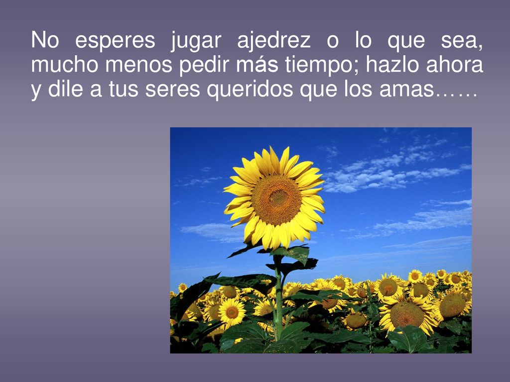 No esperes jugar ajedrez o lo que sea, mucho menos pedir más tiempo; hazlo ahora y dile a tus seres queridos que los amas……