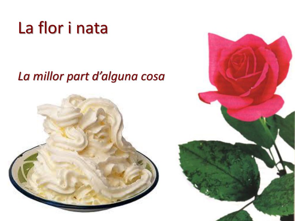 La flor i nata La millor part d’alguna cosa