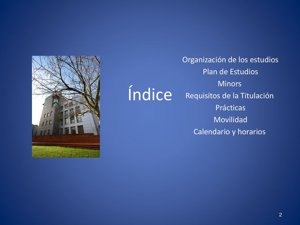 Índice Plan de Estudios Minors Requisitos de la Titulación Prácticas