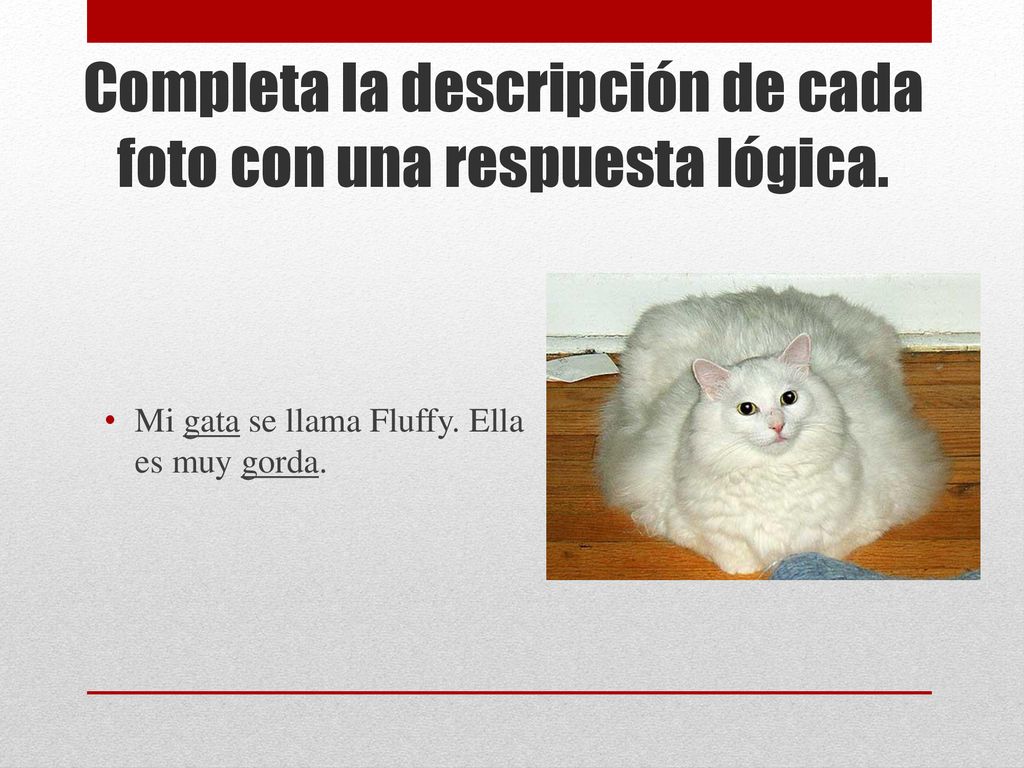 Completa la descripción de cada foto con una respuesta lógica.