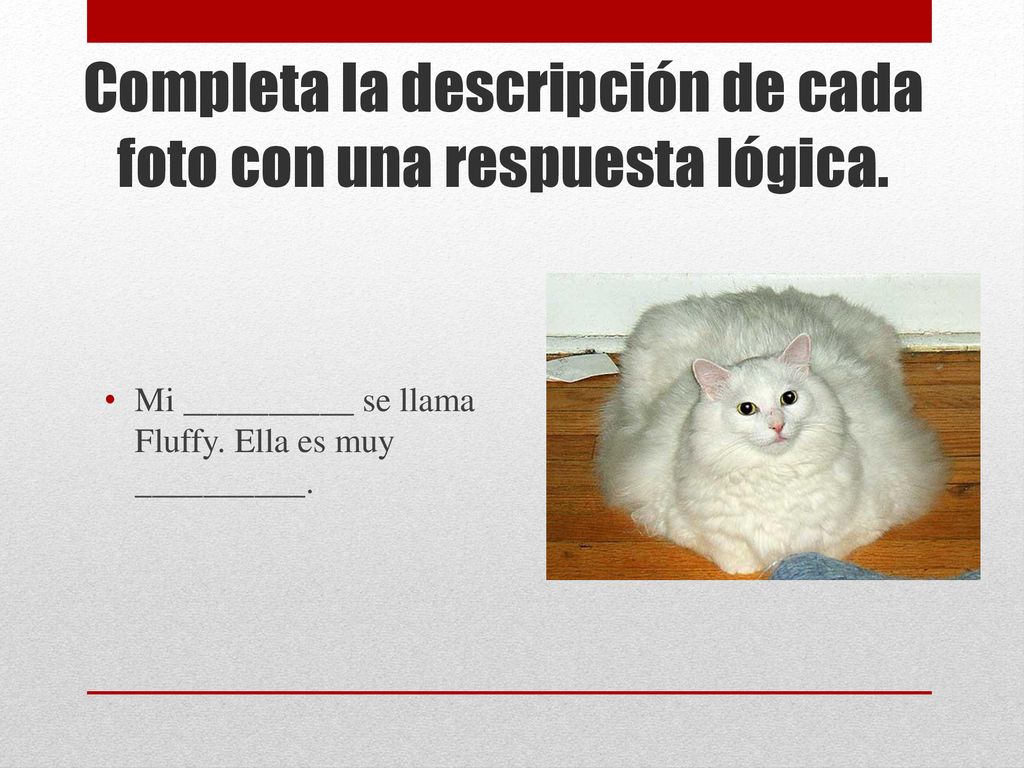 Completa la descripción de cada foto con una respuesta lógica.