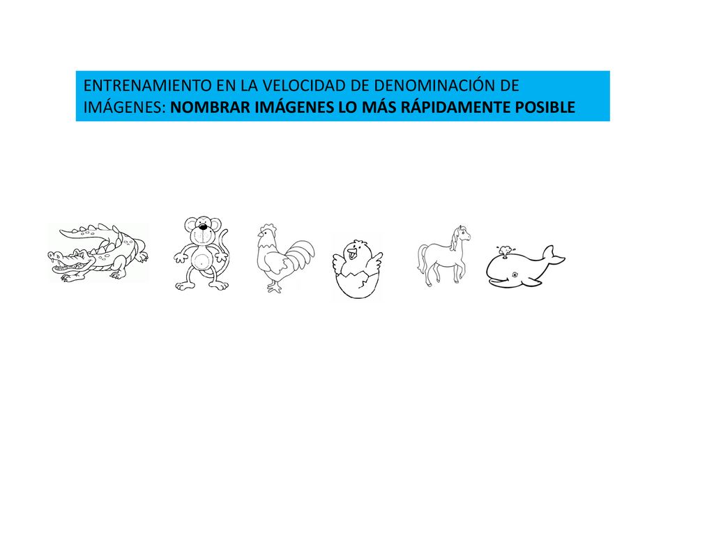 ENTRENAMIENTO EN LA VELOCIDAD DE DENOMINACIÓN DE IMÁGENES: NOMBRAR IMÁGENES LO MÁS RÁPIDAMENTE POSIBLE