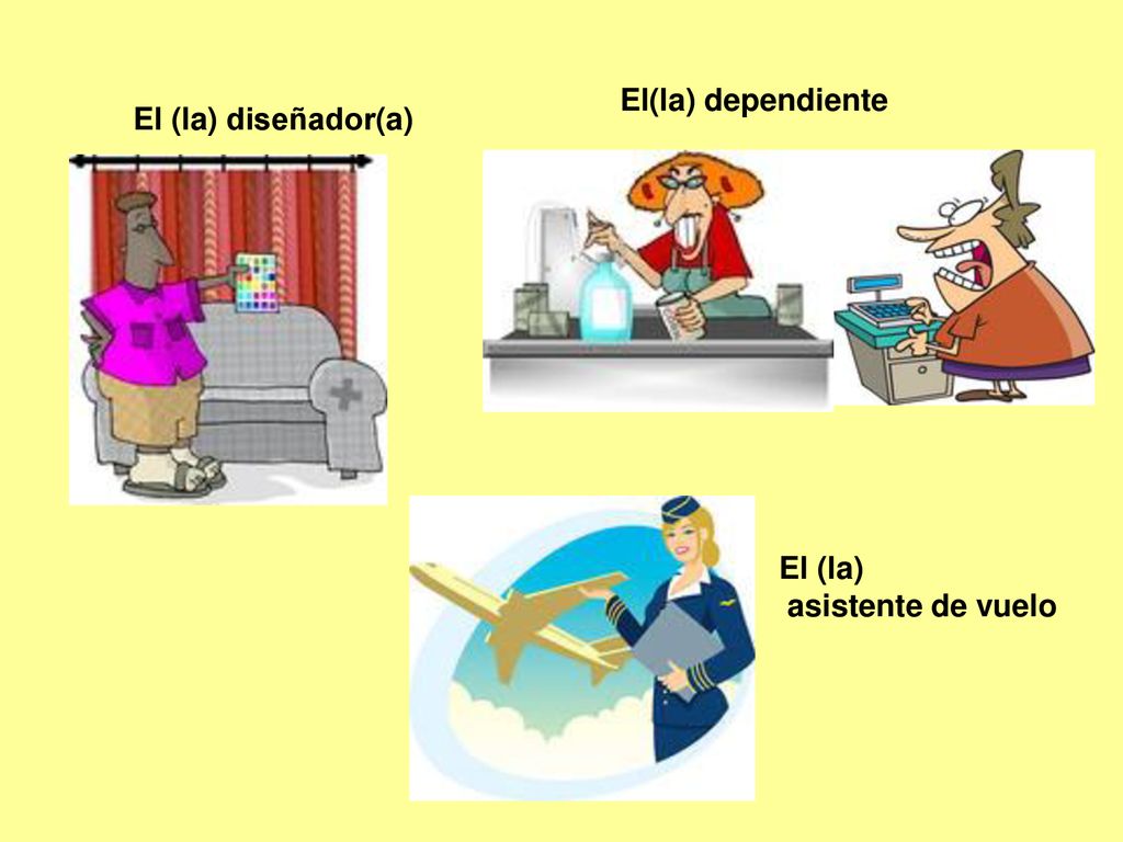 El(la) dependiente El (la) diseñador(a) El (la) asistente de vuelo
