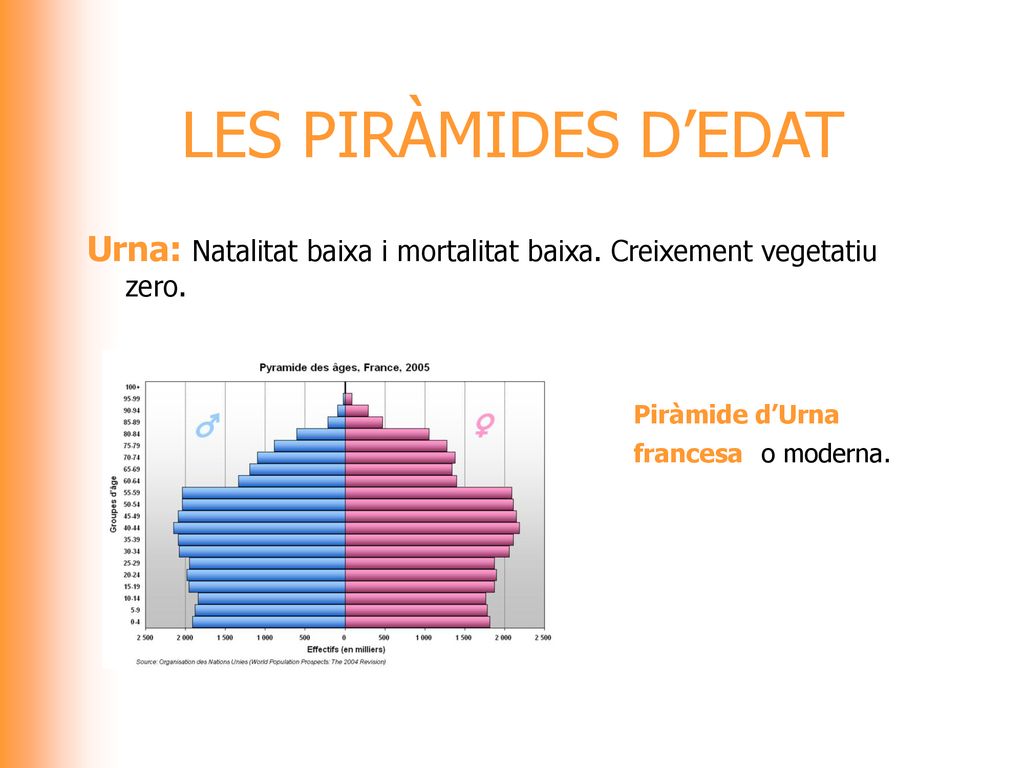 LES PIRÀMIDES D’EDAT Urna: Natalitat baixa i mortalitat baixa.
