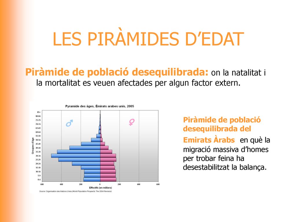 LES PIRÀMIDES D’EDAT Piràmide de població desequilibrada: on la natalitat i la mortalitat es veuen afectades per algun factor extern.
