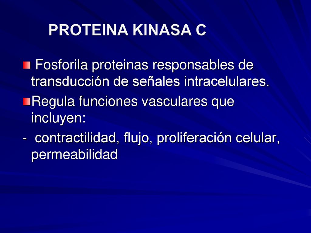 PROTEINA KINASA C Fosforila proteinas responsables de transducción de señales intracelulares. Regula funciones vasculares que incluyen: