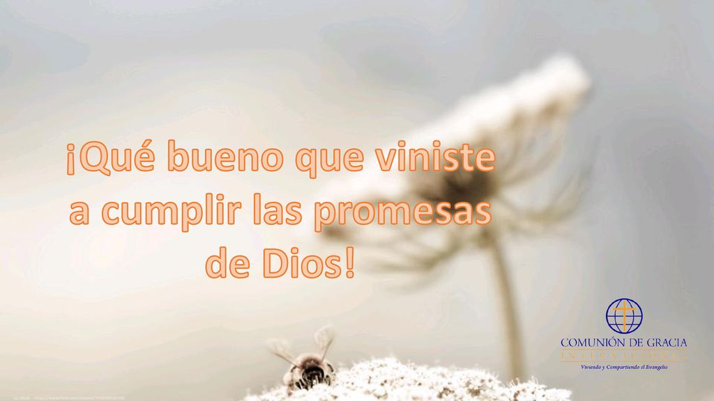 ¡Qué bueno que viniste a cumplir las promesas de Dios!
