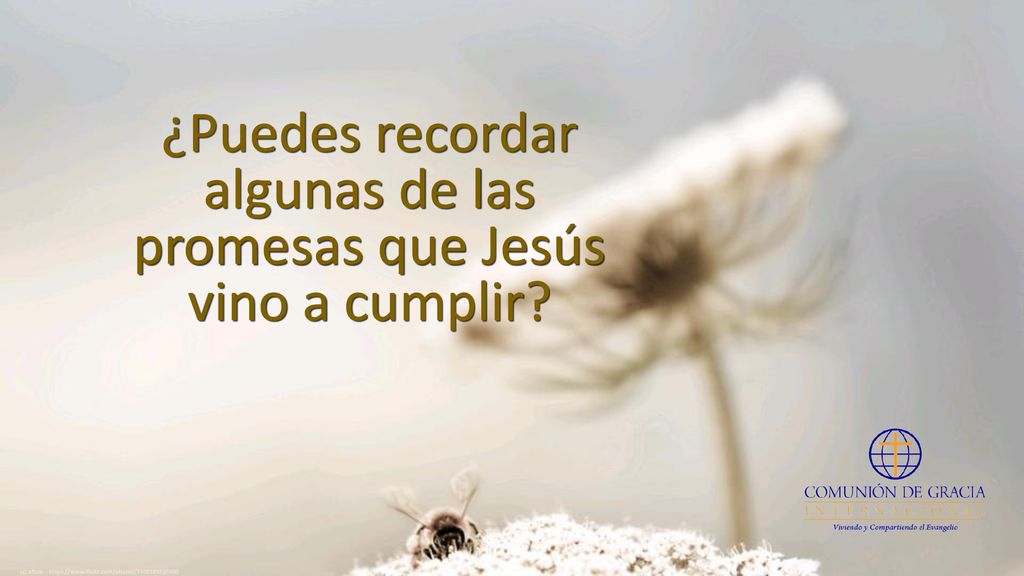 ¿Puedes recordar algunas de las promesas que Jesús vino a cumplir