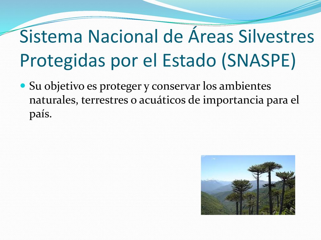Sistema Nacional de Áreas Silvestres Protegidas por el Estado (SNASPE)
