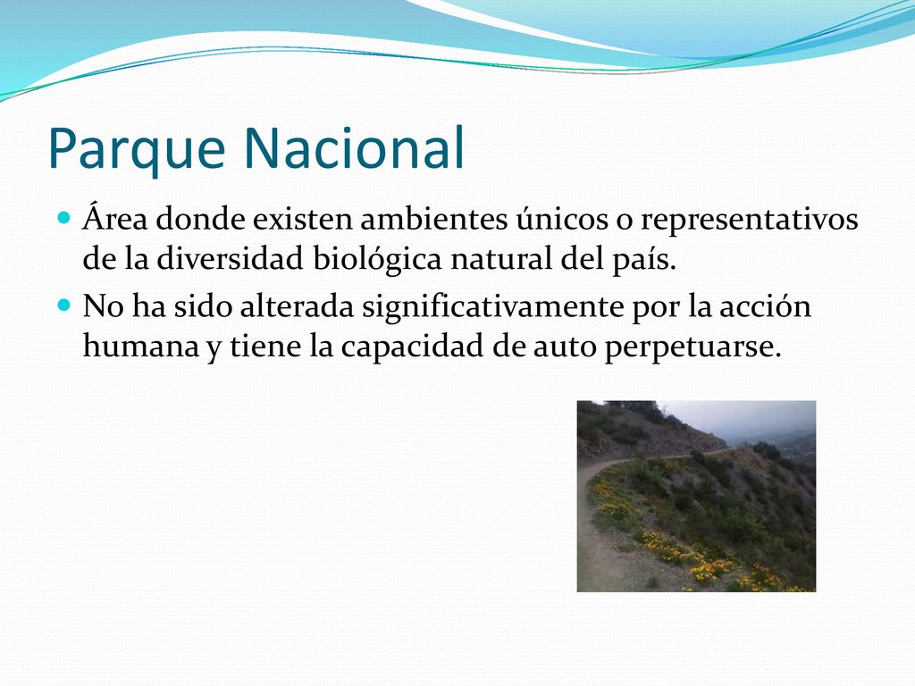 Parque Nacional Área donde existen ambientes únicos o representativos de la diversidad biológica natural del país.