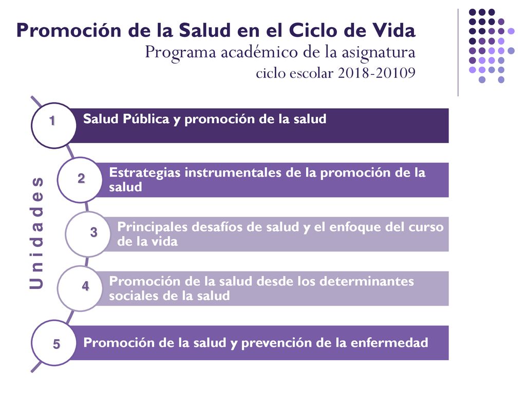 Promoción de la Salud en el Ciclo de Vida Programa académico de la asignatura ciclo escolar