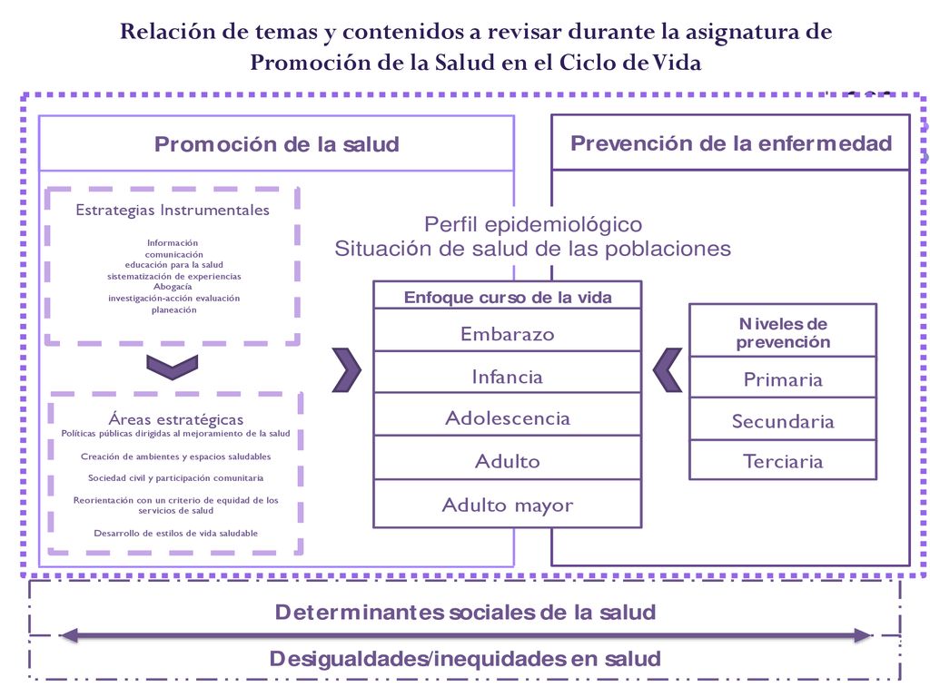 Relación de temas y contenidos a revisar durante la asignatura de Promoción de la Salud en el Ciclo de Vida