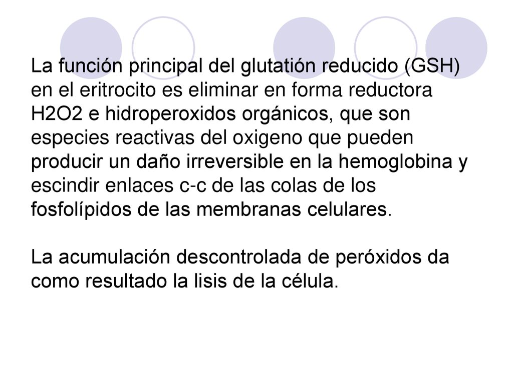 La función principal del glutatión reducido (GSH) en el eritrocito es eliminar en forma reductora H2O2 e hidroperoxidos orgánicos, que son especies reactivas del oxigeno que pueden producir un daño irreversible en la hemoglobina y escindir enlaces c-c de las colas de los fosfolípidos de las membranas celulares.