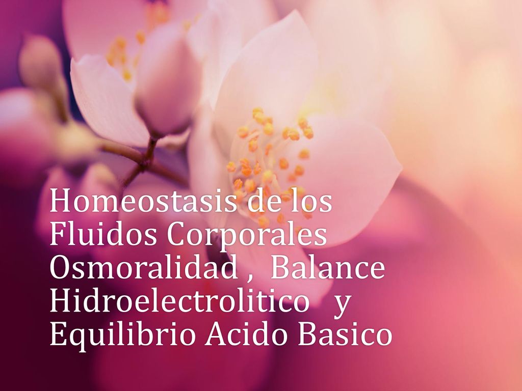Homeostasis de los Fluidos Corporales Osmoralidad , Balance Hidroelectrolitico y Equilibrio Acido Basico