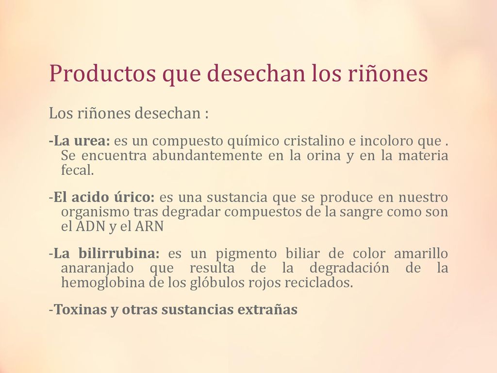 Productos que desechan los riñones