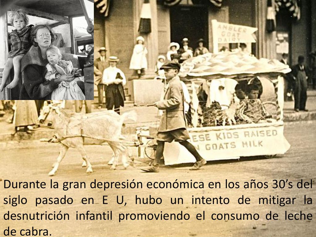 Durante la gran depresión económica en los años 30’s del siglo pasado en E U, hubo un intento de mitigar la desnutrición infantil promoviendo el consumo de leche de cabra.