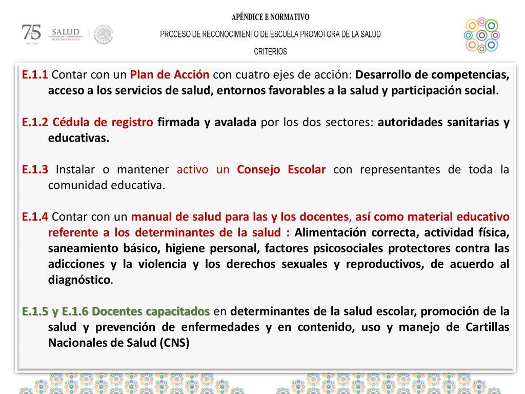 E.1.1 Contar con un Plan de Acción con cuatro ejes de acción: Desarrollo de competencias, acceso a los servicios de salud, entornos favorables a la salud y participación social.