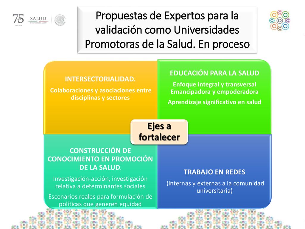 Propuestas de Expertos para la validación como Universidades Promotoras de la Salud. En proceso