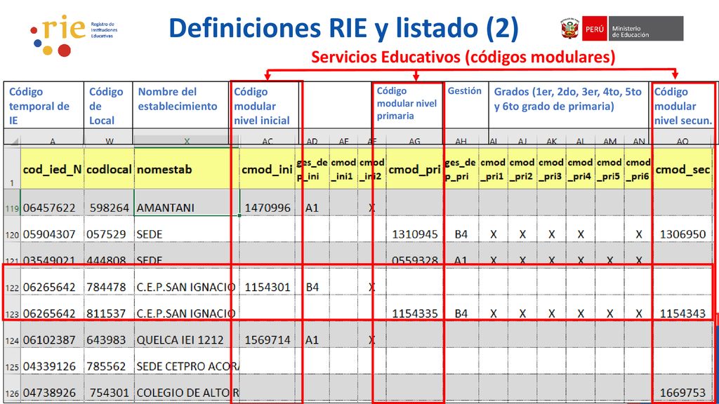 Definiciones RIE y listado (2)