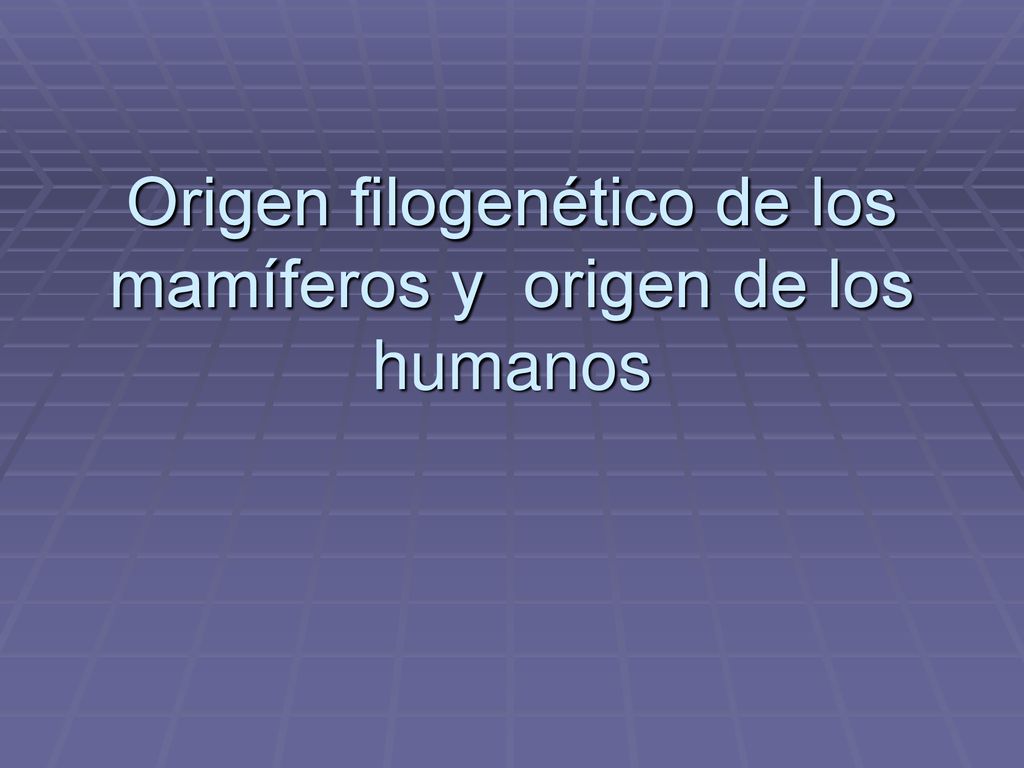 Origen filogenético de los mamíferos y origen de los humanos