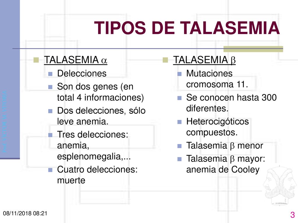 TIPOS DE TALASEMIA TALASEMIA a TALASEMIA b Delecciones