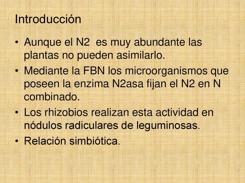 Introducción Aunque el N2 es muy abundante las plantas no pueden asimilarlo.