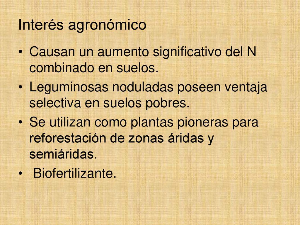 Interés agronómico Causan un aumento significativo del N combinado en suelos. Leguminosas noduladas poseen ventaja selectiva en suelos pobres.