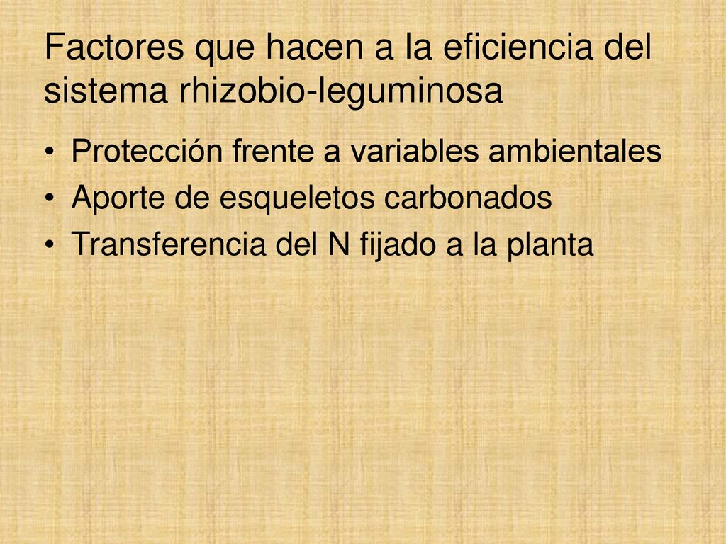 Factores que hacen a la eficiencia del sistema rhizobio-leguminosa