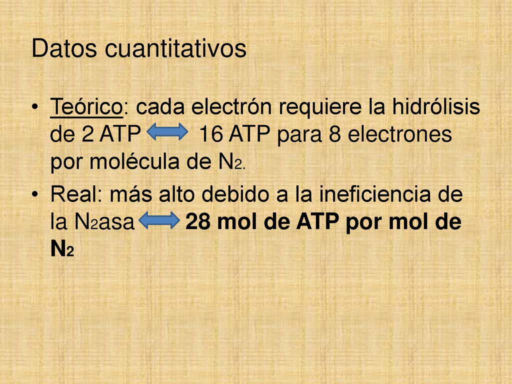 Datos cuantitativos Teórico: cada electrón requiere la hidrólisis de 2 ATP 16 ATP para 8 electrones por molécula de N2.