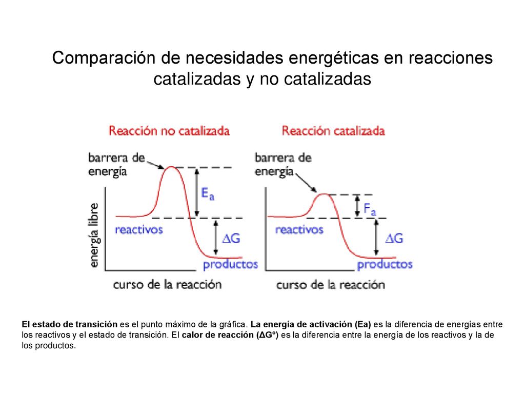 Comparación de necesidades energéticas en reacciones catalizadas y no catalizadas