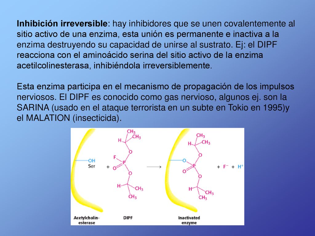 Inhibición irreversible: hay inhibidores que se unen covalentemente al sitio activo de una enzima, esta unión es permanente e inactiva a la enzima destruyendo su capacidad de unirse al sustrato. Ej: el DIPF reacciona con el aminoácido serina del sitio activo de la enzima acetilcolinesterasa, inhibiéndola irreversiblemente.