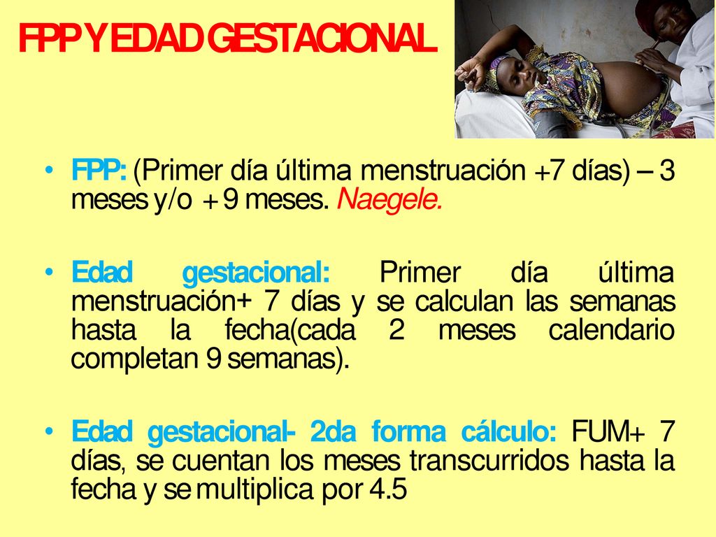 FPP Y EDAD GESTACIONAL FPP: (Primer día última menstruación +7 días) – 3 meses y/o + 9 meses. Naegele.