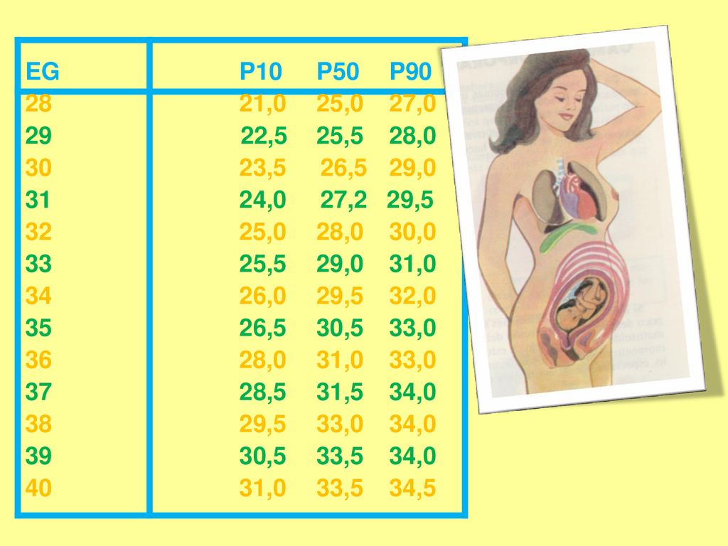 EG P10. P50. P ,0. 25,0. 27, ,5. 25,5. 28, ,5. 26,5. 29,