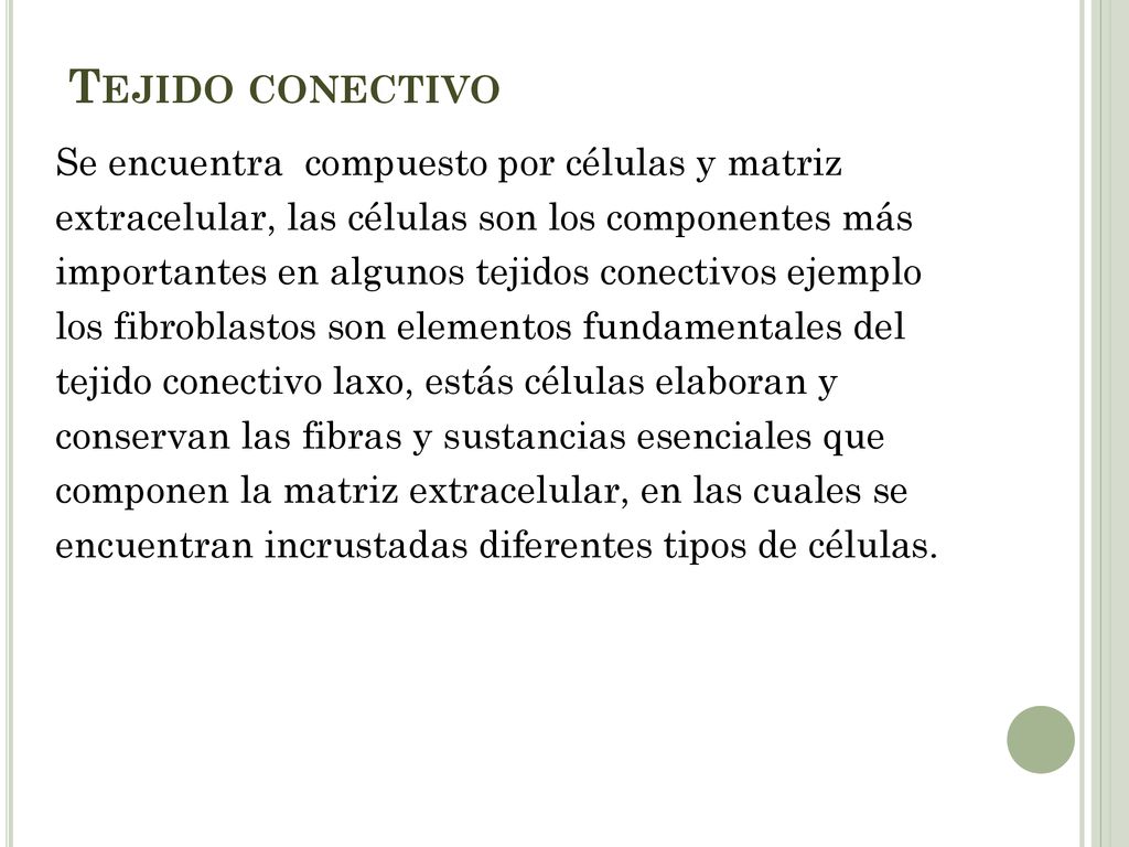 Tejido conectivo Se encuentra compuesto por células y matriz