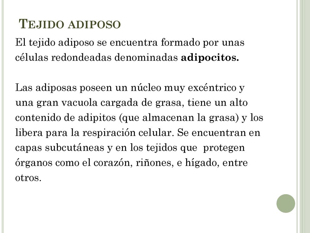 Tejido adiposo El tejido adiposo se encuentra formado por unas