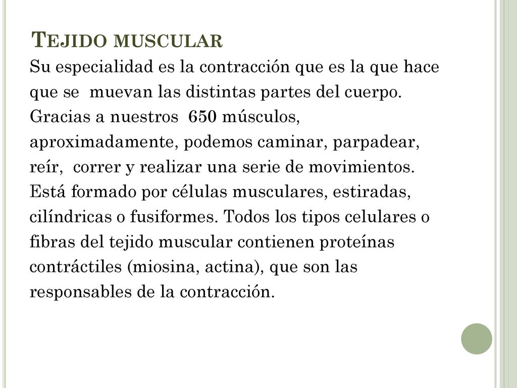 Tejido muscular Su especialidad es la contracción que es la que hace
